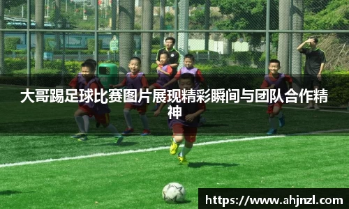 米兰体育官方网站