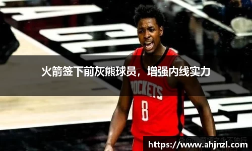 火箭签下前灰熊球员，增强内线实力
