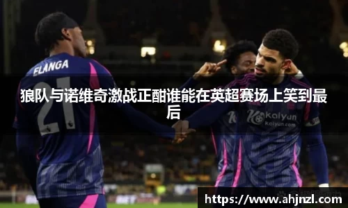 狼队与诺维奇激战正酣谁能在英超赛场上笑到最后